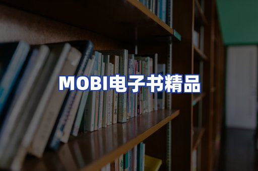 外文电子书产品
